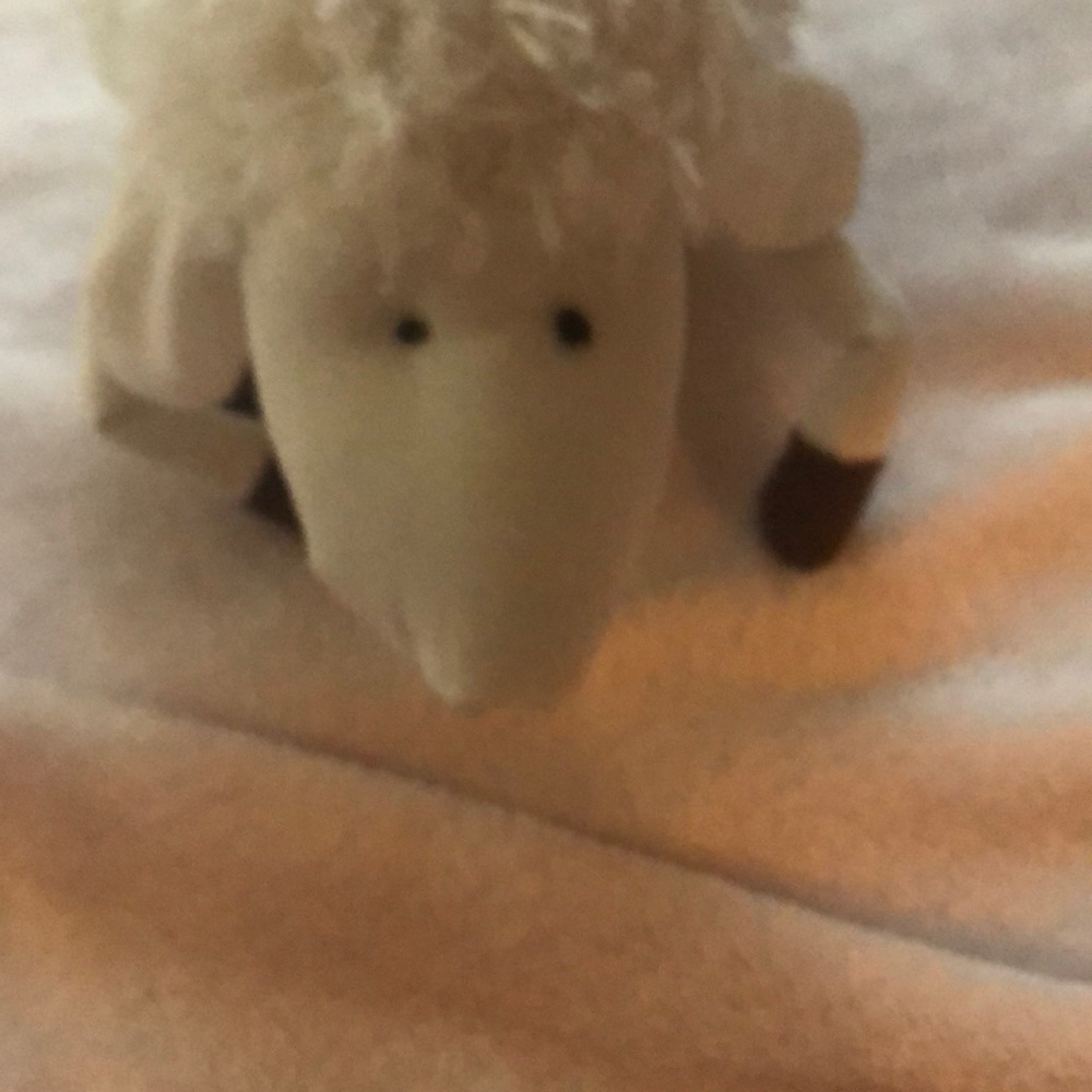 Sherp Express